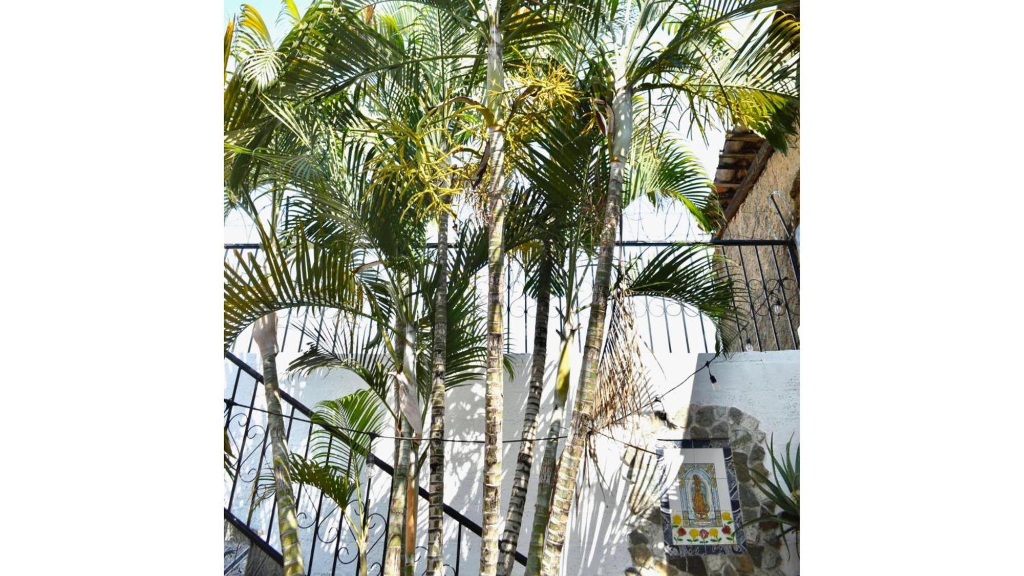 Casa Coco Hostel Santa Ana Ngoại thất bức ảnh